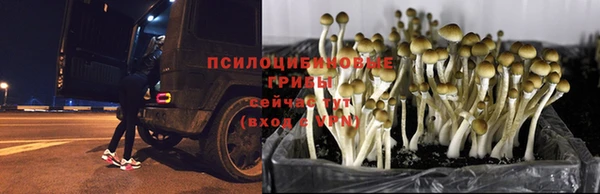 соль ск Елизово