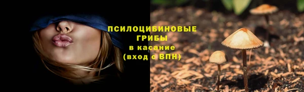 соль ск Елизово