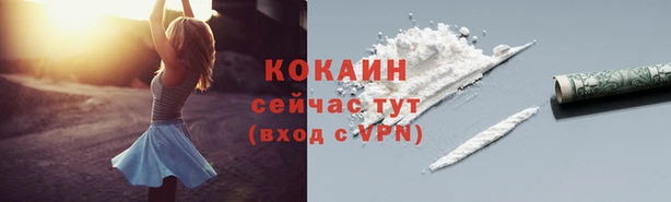 прущая мука Дмитриев