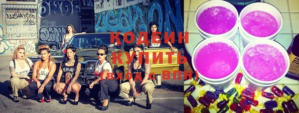 соль ск Елизово