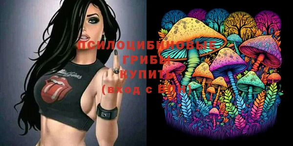 гашиш Ельня