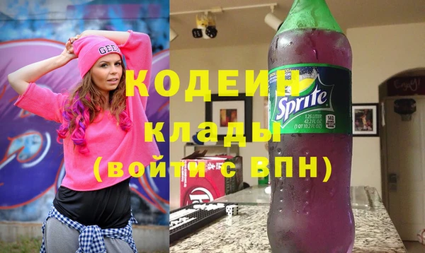 соль ск Елизово
