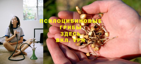 соль ск Елизово