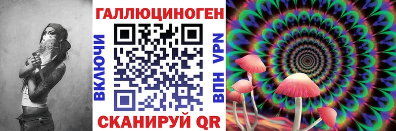 Купить  Катайск  Псилоцибиновые грибы MAGIC MUSHROOMS 